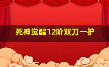 死神觉醒12阶双刀一护