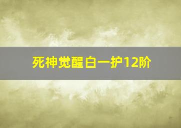 死神觉醒白一护12阶