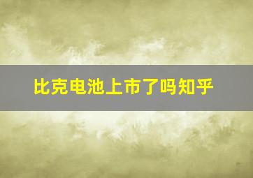 比克电池上市了吗知乎