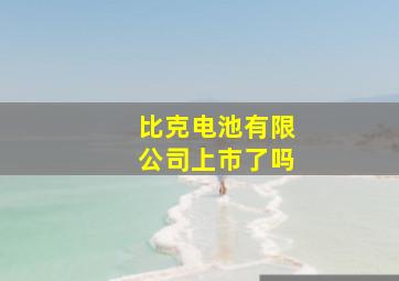 比克电池有限公司上市了吗