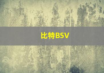 比特BSV