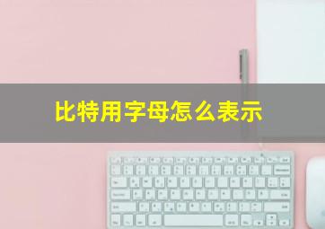 比特用字母怎么表示