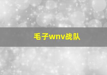 毛子wnv战队