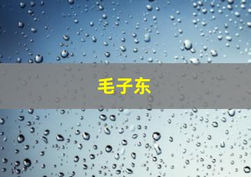 毛子东