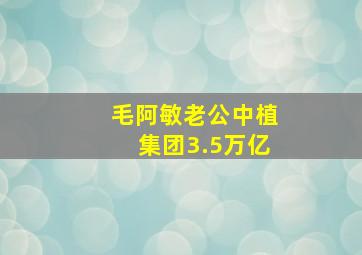 毛阿敏老公中植集团3.5万亿