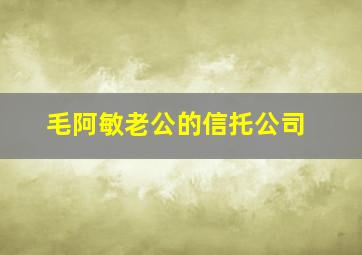 毛阿敏老公的信托公司