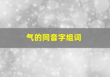 气的同音字组词