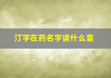 汀字在药名字读什么音