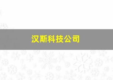 汉斯科技公司