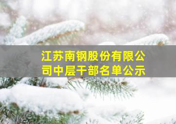 江苏南钢股份有限公司中层干部名单公示