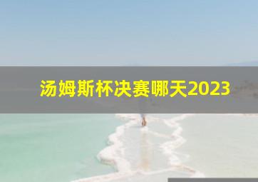 汤姆斯杯决赛哪天2023