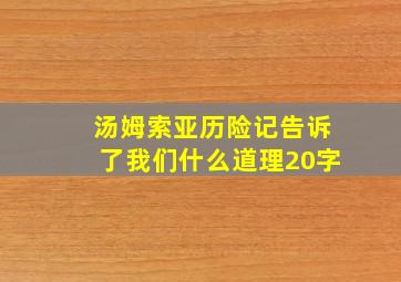 汤姆索亚历险记告诉了我们什么道理20字