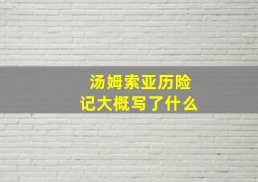 汤姆索亚历险记大概写了什么