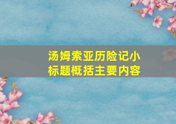 汤姆索亚历险记小标题概括主要内容