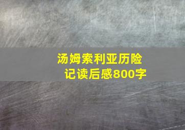 汤姆索利亚历险记读后感800字