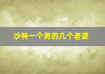 沙特一个男的几个老婆