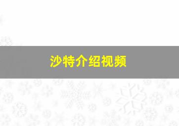 沙特介绍视频