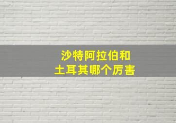 沙特阿拉伯和土耳其哪个厉害