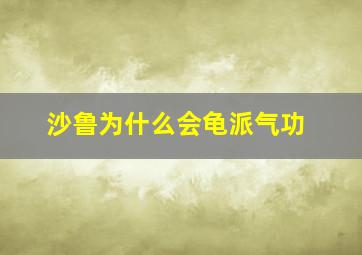 沙鲁为什么会龟派气功