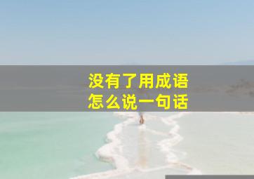 没有了用成语怎么说一句话