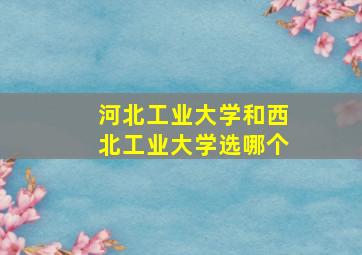 河北工业大学和西北工业大学选哪个