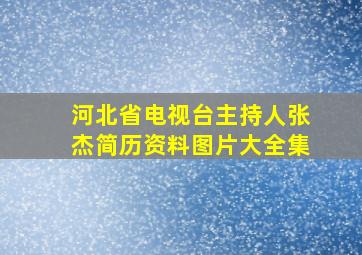 河北省电视台主持人张杰简历资料图片大全集