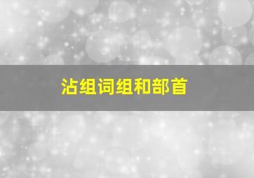 沾组词组和部首