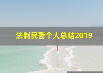 法制民警个人总结2019