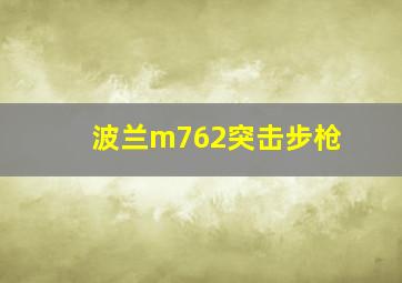 波兰m762突击步枪