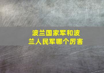 波兰国家军和波兰人民军哪个厉害