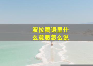 波拉藏语里什么意思怎么说