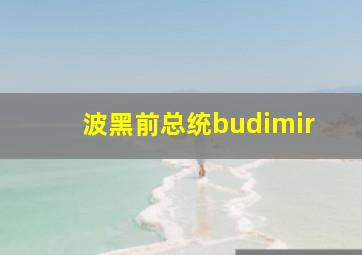 波黑前总统budimir