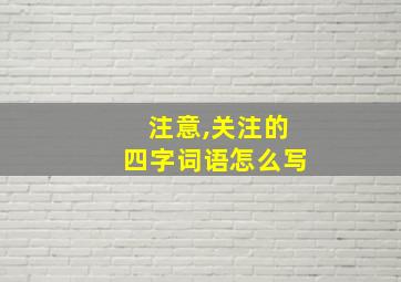 注意,关注的四字词语怎么写