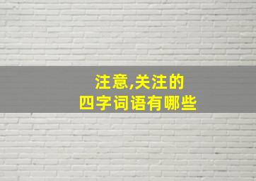 注意,关注的四字词语有哪些