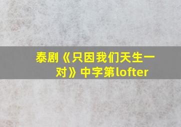 泰剧《只因我们天生一对》中字第lofter