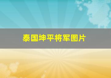 泰国坤平将军图片