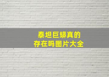 泰坦巨蟒真的存在吗图片大全