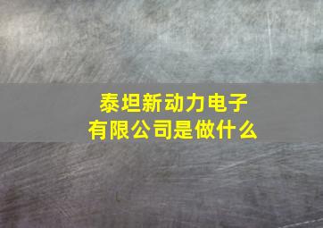 泰坦新动力电子有限公司是做什么