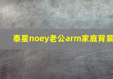 泰星noey老公arm家庭背景