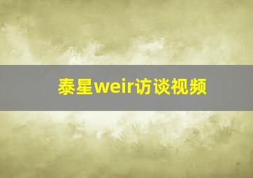 泰星weir访谈视频