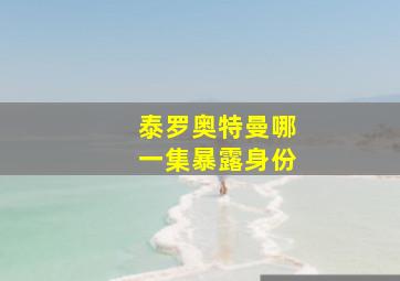 泰罗奥特曼哪一集暴露身份