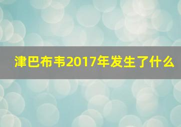 津巴布韦2017年发生了什么