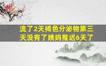 流了2天褐色分泌物第三天没有了姨妈推迟6天了