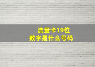 流量卡19位数字是什么号码