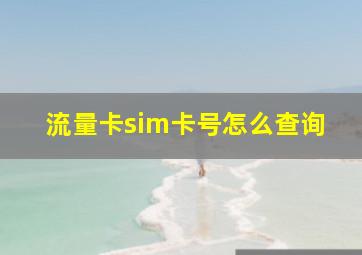 流量卡sim卡号怎么查询