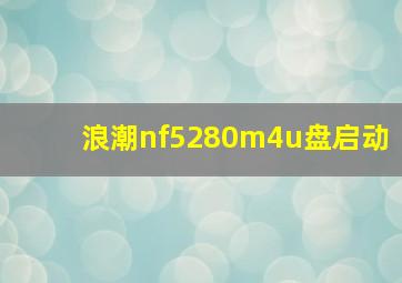 浪潮nf5280m4u盘启动