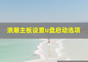 浪潮主板设置u盘启动选项