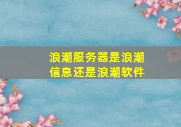 浪潮服务器是浪潮信息还是浪潮软件