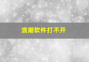 浪潮软件打不开