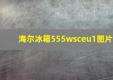 海尔冰箱555wsceu1图片